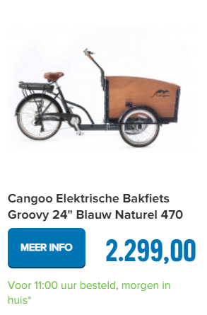 Cangoo Elektrische Bakfiets Groovy 24" Blauw Naturel 470 Watt