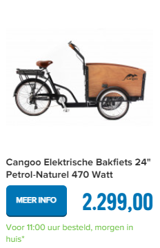 Cangoo Elektrische Bakfiets 24" Petrol-Naturel 470 Watt