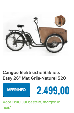 Cangoo Elektrsiche Bakfiets Easy 26" Mat Grijs-Naturel 520 Watt