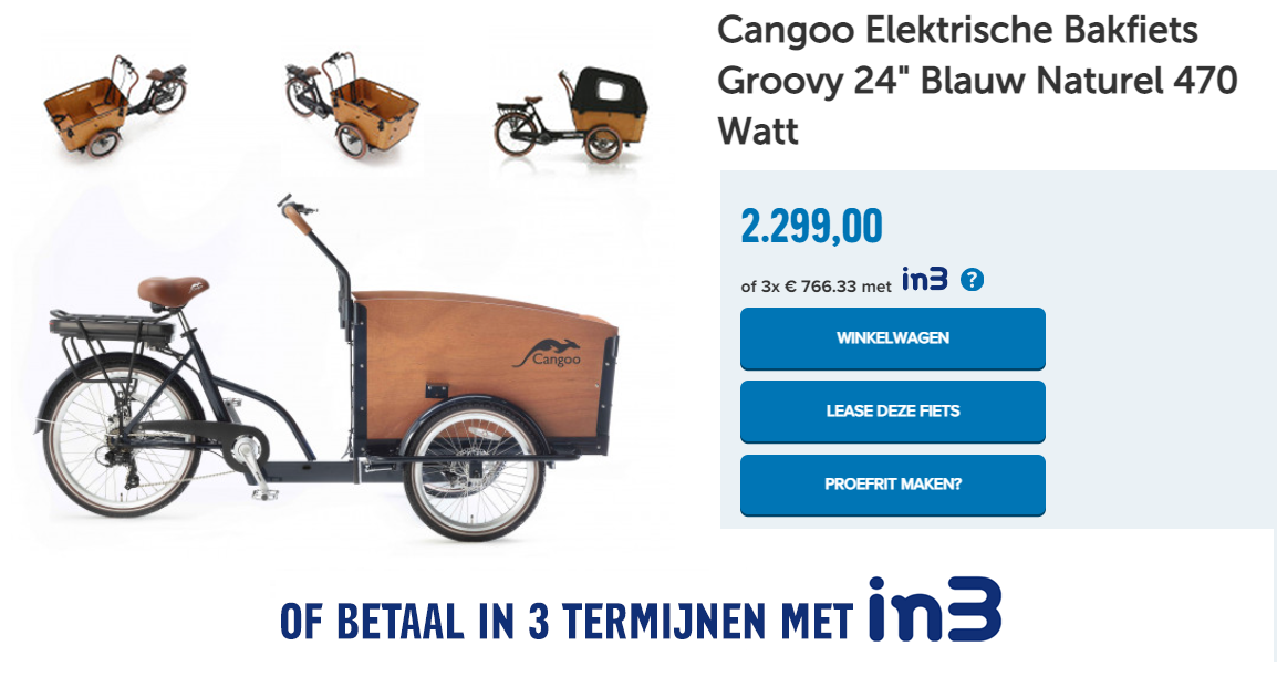 Cangoo Elektrische Bakfiets Groovy 24" Blauw Naturel 470 Watt