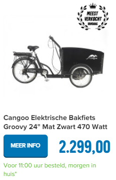 Cangoo Elektrische Bakfiets Groovy 24" Mat Zwart 470 Watt