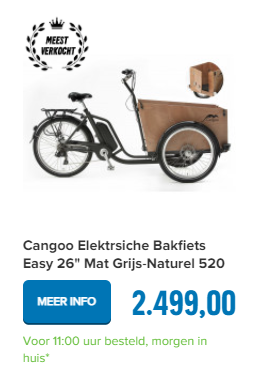 Cangoo Elektrsiche Bakfiets Easy 26" Mat Grijs-Naturel 520 Watt